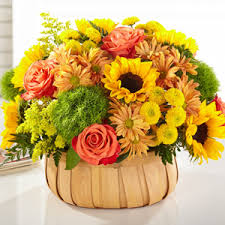 We did not find results for: Same Day Flower Delivery In Princeton Nc 27569 By Your Ftd Florist Casey S Florist 919 936 8801
