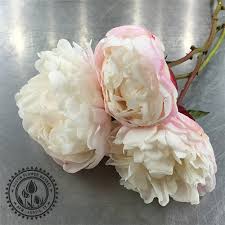 Our flower shop is dedicated to providing the best customer service. Peonies Austin Flower Market