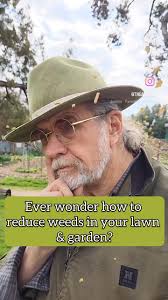 Corn gluten meal for weed control in stone patio and lawn