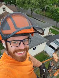 Mancuso Tree Removal