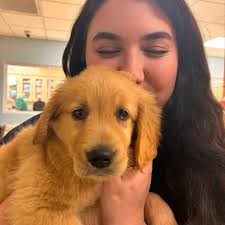 My budgie learned to mimic the telephone and would constantly prank my  great-great aunt who lived with us lol