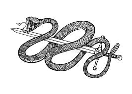 Ce/cette dessin de joaillerie est utilisé pour la profession de joaillerie. Cobra De Dessin Serpent Stock Illustrations Vecteurs Clipart 4 570 Stock Illustrations