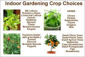 Dec 29, 2020 · grow lights are an incredibly useful tool for growing vegetables, herbs, and flowers from seed indoors. Indoor Vegetable Gardening