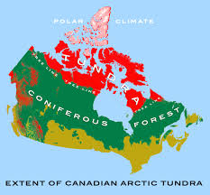 To fully understand our national identity, we must through the millions of years of these movements, the shield formed the nucleus around which geological processes built. Canadian Arctic Tundra Wikipedia