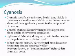 Image result for Tet Spell