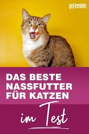 Pin Auf Tipps Fur Haustier Besitzer