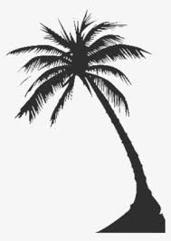 Maybe you would like to learn more about one of these? Palm Tree Silhouette Png Download Transparent Palm Tree Silhouette Png Images For Free Nicepng
