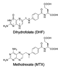 Image result for Methotrexate