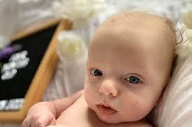 Fundraiser for Benjamin Bender by Taylor Shearer : Waylon's Doc Band