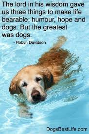 The Lord In His Wisdom Gave Us Three Things To Make Life Bearable Humor Hope And Dogs But The Greatest Was Dogs Dog Swimming Dogs Dog Love