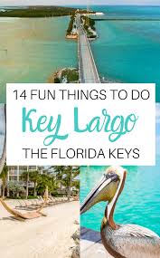 19 Fun Things To Do In Key Largo Florida Keys Don T Miss These Spots In 2020 Key Largo Florida Florida Keys Beaches Florida Travel