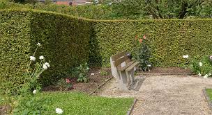 Maybe you would like to learn more about one of these? Quelles Sont Les Especes Vegetales Qui Isolent Du Bruit