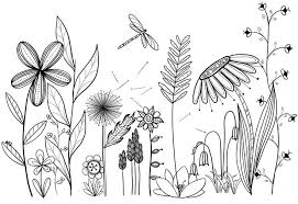 My Original Art Inspired By Many Doodle Flower Line Drawing Tattoo Garden Garden Flower Line Drawings Doodle Art Flowers Flower Doodles