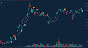 2019 was a rollercoaster ride for bitcoin hodlers. Bitcoin Price Should Hold This Level Or Risk A Bear Market Redux The Bitcoin News