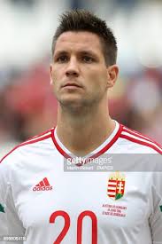 253 Guzmics Stock Photos, High-Res Pictures, and Images