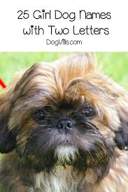 If you like our video, then please don't forget to subscribe. 50 Beautiful Dog Names With Two Letters Dogvills