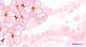 Sakura Wallpaper Images Sakura Wallpaper Android Wallpaper