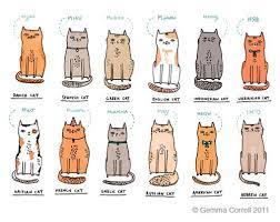 Gemma Correll And Her Merry Band Of Misfits Miau Miaow Miauw Cat Language Kitten Art Crazy Cats