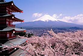 Queenie Premium 1000 Piece Wooden Jigsaw Puzzle Games Mount Fuji Cherry Blossoms Pattern Floor Puzzles Toys Home Photo Frame Wall Decoration Gifts Buy Online In Aruba At Aruba Desertcart Com Productid 99584824