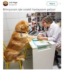 Anlamli Dusundurucu Eglenceli Guzel Komik Konusan Resimler Konusan Resimler Www Kizlarinsirlari Club En Komik Fotograflar Komik Hayvanlar Komik