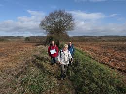 Randonnee De Luzarches A Ecouen 22 5 Km Carnets De R Ndos Et De Voy Ges En 2020 Randonnee Randonnee Pedestre Route Nationale