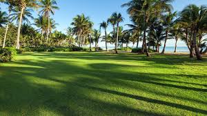 Maybe you would like to learn more about one of these? Seabreeze Lawn The St Regis Bahia Beach Resort Puerto Rico Bahia Beach Beach Resorts Puerto Rico