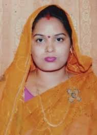 Gram Panchayat (ग्राम पंचायत): BHILAVAN