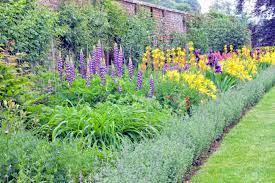 Check spelling or type a new query. Colourful Cottage Flowers In Bloom In English Walled Garden After Summer Rain Stock Photo Picture And Royalty Free Image Image 115406743
