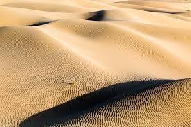 We did not find results for: Wallpaper Light Shadow Contrast Gold Golden Sand Pattern Desert Dunes Dune Uae Abudhabi Abu Dhabi Suwaihan Nahshala Nahshalah 5760x3840 1062636 Hd Wallpapers Wallhere