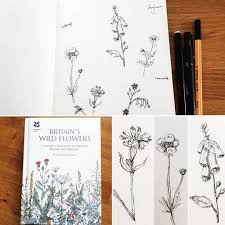 Drawing British Wildflowers Today Drawing Pensketch Britishwildflowers Inspiration British Wild Flowers Pen Sketch Wild Flowers