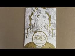 Newt arriving in new york in 1926 for a conference of magicians. Fantastic Beasts And Where To Find Them Magical Characters And Places Coloring Book Flip Through Youtube
