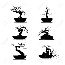 Use this bonsai tree silhouette svg for crafts or your graphic designs! Bonsai Tree Silhouette Royalty Free Cliparts Vectors And Stock Illustration Image 89489166
