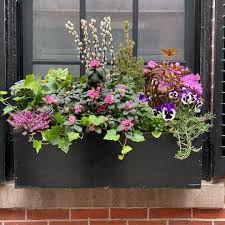 Unfinished wood window box painted gray. 24 Window Box Flower Ideas What Flowers To Plant In Window Boxes Apartment Therapy