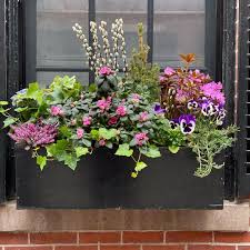 The trick to choosing the best kitchen window treatments is to think outside the box. 20 Window Box Flower Ideas What Flowers To Plant In Window Boxes Apartment Therapy