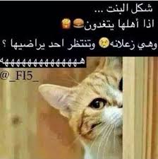 يوميات funny picture jokes funny pictures arabic funny