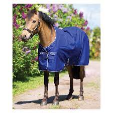 The thoroughbred dressage line founder lauries crusador xx appears in the third generation of the pedigree. Horseware Outdoordecke Amigo Hero 900 Pony Lite Outdoordecken Loesdau Passion Pferdesport