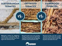 One is via borate wood treatment using a product called boracare. All About Termites And How To Get Rid Of An Infestation
