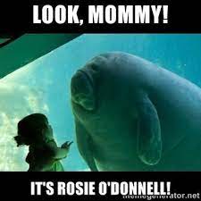 Look Mommy It 39 S Rosie O 39 Donnell Rosie Odonnell Cow Meme Manatee