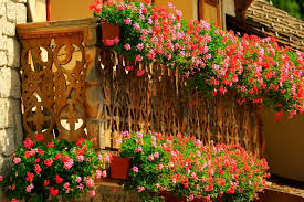 Maybe you would like to learn more about one of these? 40 Window And Balcony Flower Box Ideas Photos Home Stratosphere