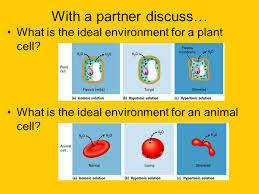 Maybe you would like to learn more about one of these? Cell Transport Section How Can A Cell Separate Itself From Its Environment And Still Allow Material To Enter And Leave Ppt Download