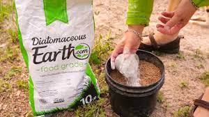 That means you can safely use a light dusting of de in a worm compost bin that has become infested with mites, fungus gnats, or ants. Deworming Your Homestead With De Diatomaceous Earth Youtube