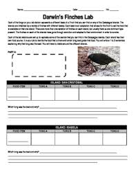 The types of bird beaks, the colors of moths, leg sizes, etc. Finch Lab Worksheets Teaching Resources Teachers Pay Teachers