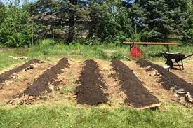Measure the overall garden area so you can divide the space into rows. How To Create A Raised Row Garden This Fall For A Great Garden Next