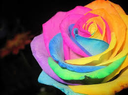 Flowers with woody stems take longer, up to several days, to absorb the food coloring through transpiration. How To Dye Flowers