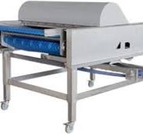 Blueberry Sorting | WECO