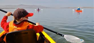 Or make a casual pair of shorts using french terry, cotton lycra, light weight linen or poplin. Morro Bay Short Kayak Tour Near Cayucos Cambria