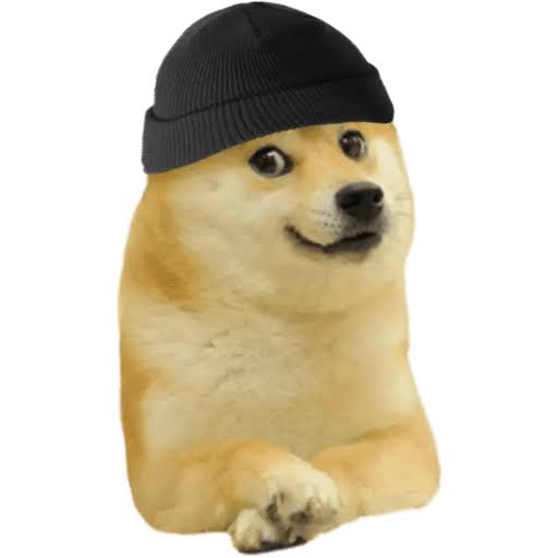doge_not_found