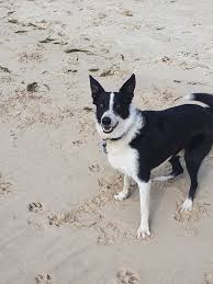 Happy New Year 2025. "Be kind always" xxxx