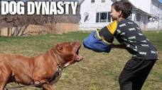 Can My 10-Year-Old Handle The World's Biggest Pitbull? | DOG ...
