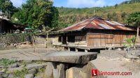 Arus wisata ke labuan bajo sebagai pintu menuju taman nasional komodo meningkat dalam tiga tahun terakhir, sebagian besar pelaku usaha merupakan. Cengkeraman Asing Di Labuan Bajo Lintas Ntt